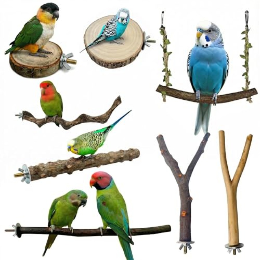Health & Wellness Vector - 8 Stück Vogelsitzstangen aus Naturholz für
