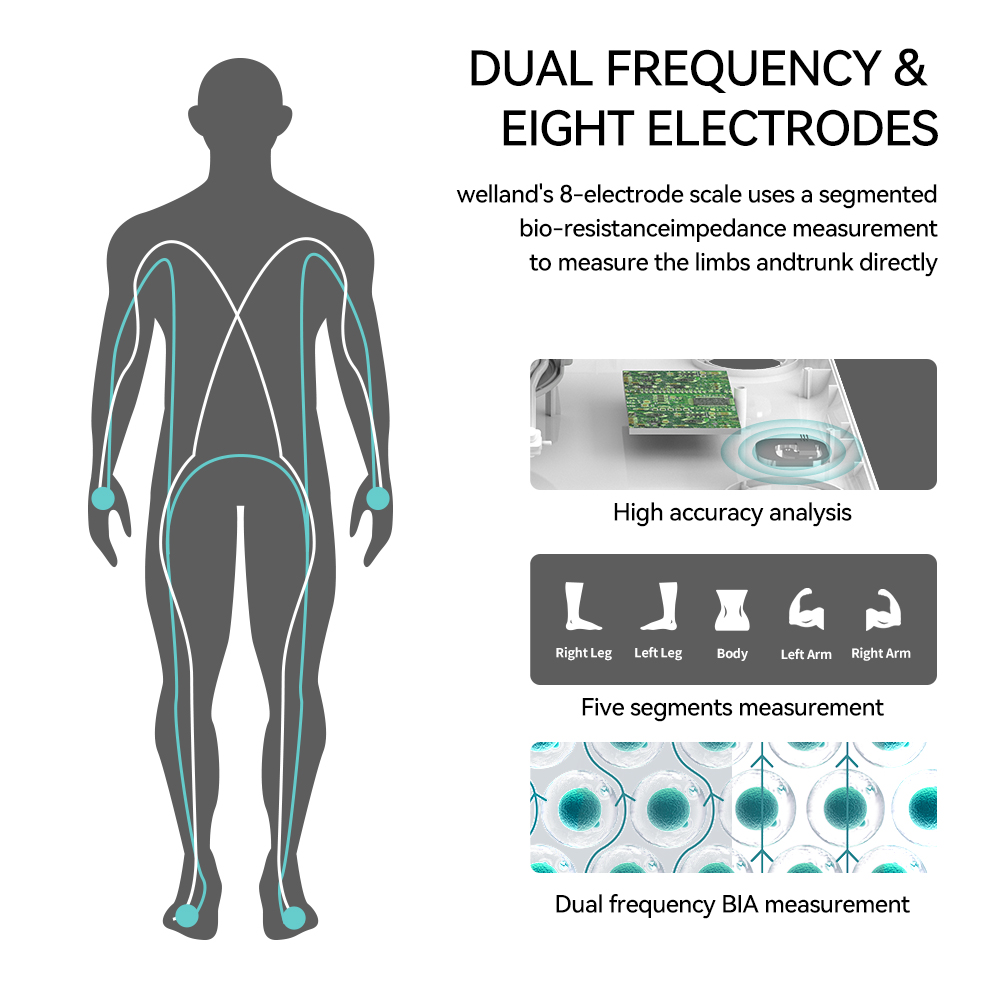 Smart 8-Elektroden-Körpergewic – Digital Body Weight Scale Bewertung und Preis