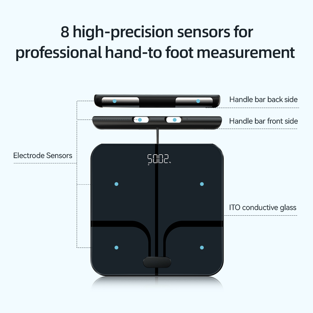 Intelligente Körpergewichtswaa – Digital Body Weight Scale Bewertung und Preis