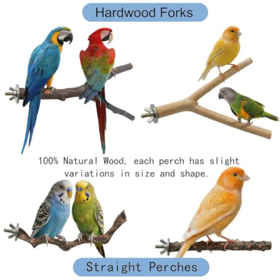 8 Stück Vogelsitzstangen aus N – Health & Wellness Vector Bewertung und Preis