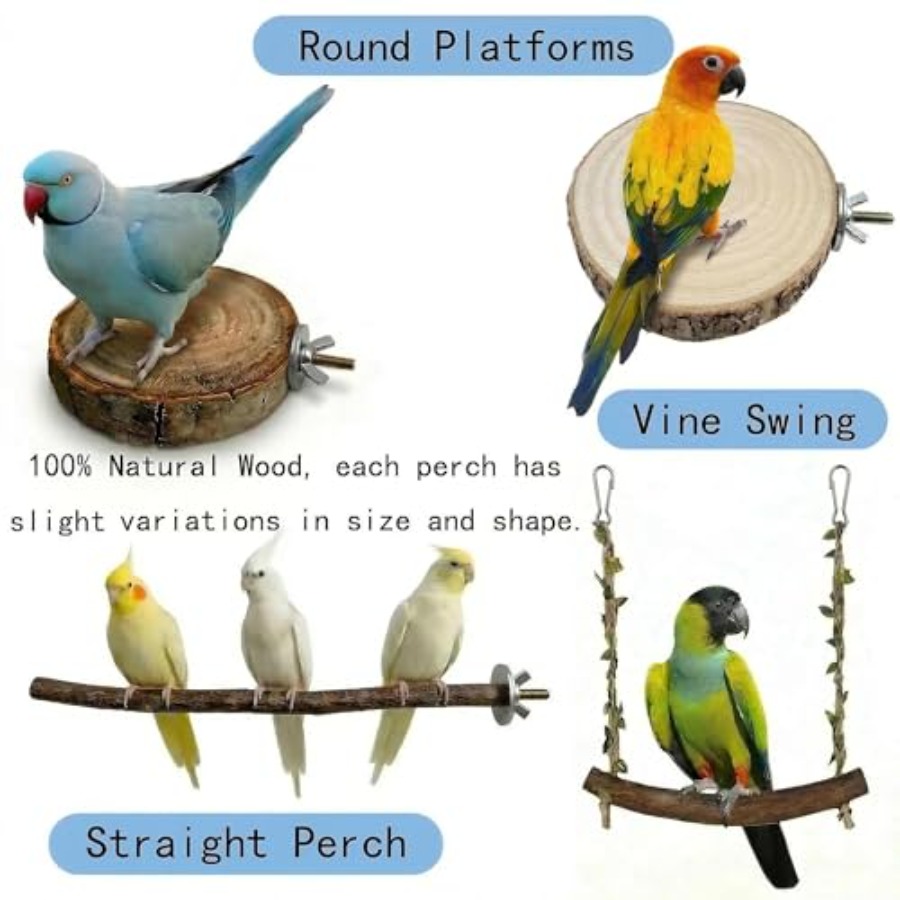 8 Stück Vogelsitzstangen aus N – Health & Wellness Vector Bewertung und Preis